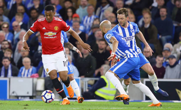 他选择为印 他选择为印